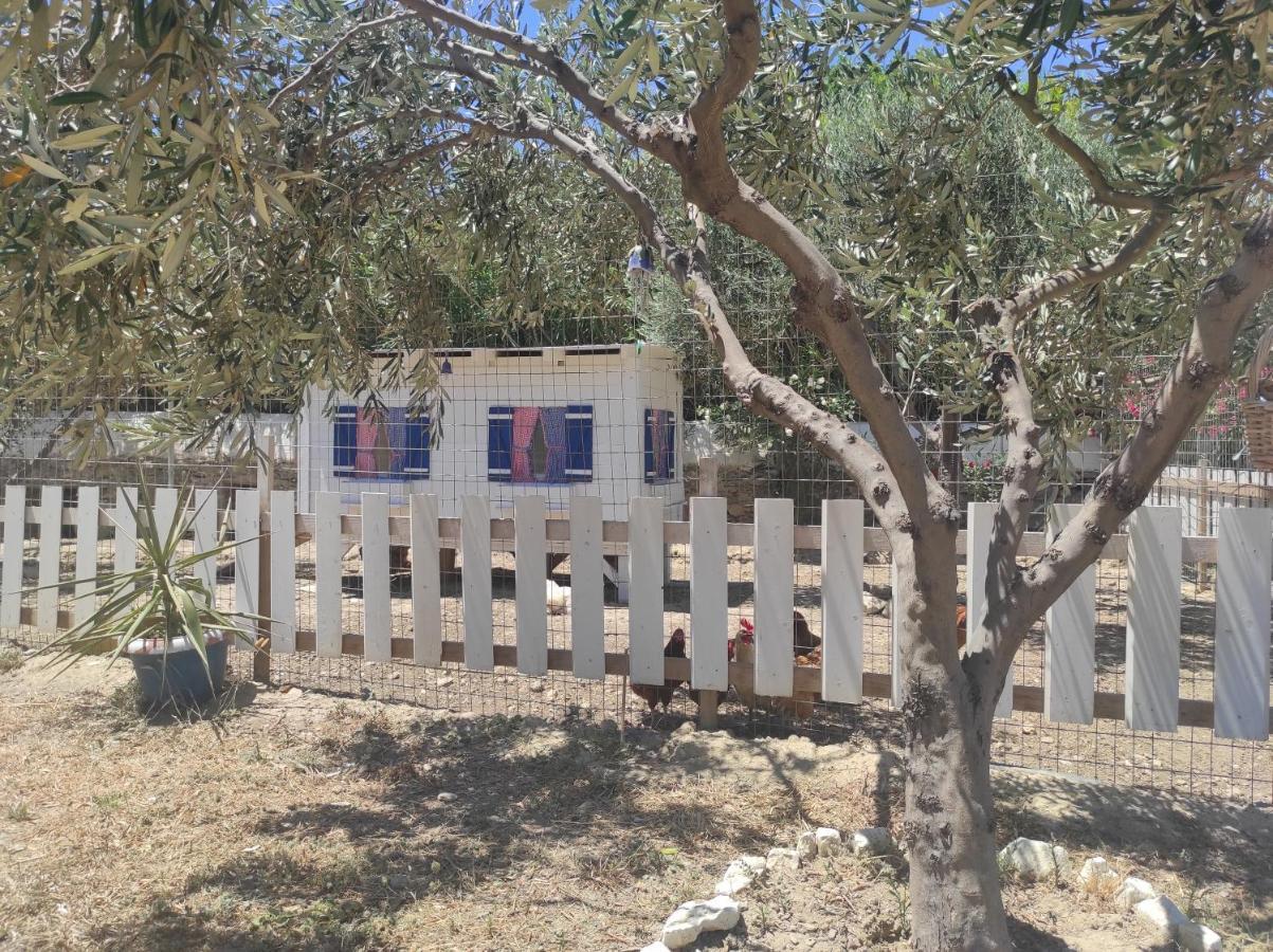Villa Le Grand Bleu Katapola Bagian luar foto